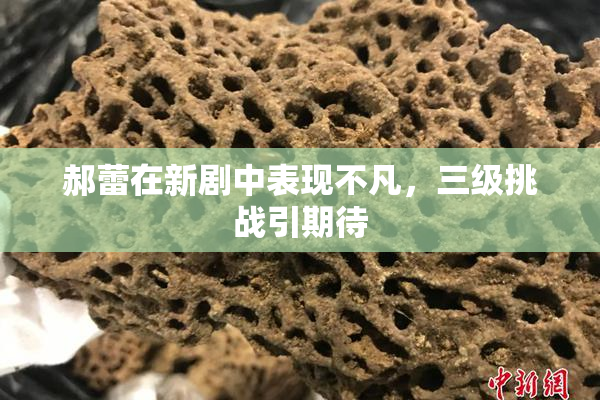 郝蕾在新剧中表现不凡，三级挑战引期待