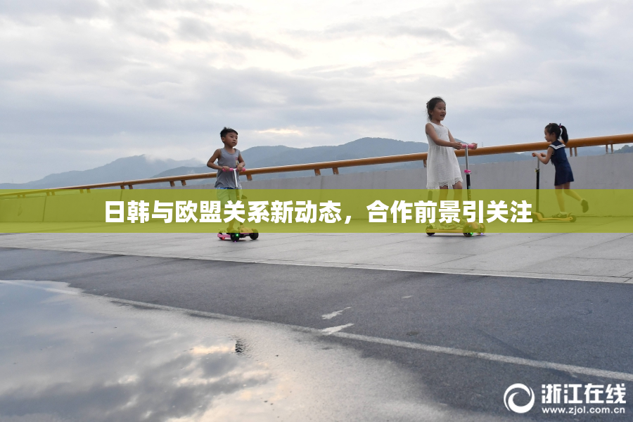 日韩与欧盟关系新动态，合作前景引关注