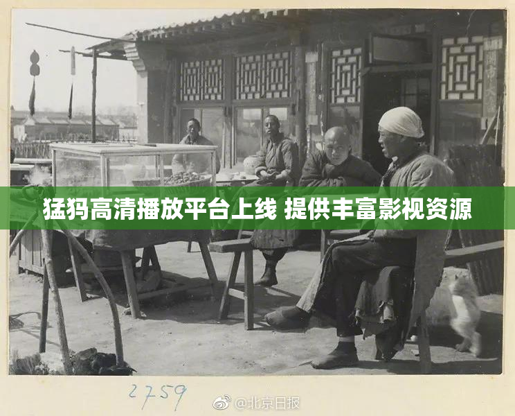 猛犸高清播放平台上线 提供丰富影视资源