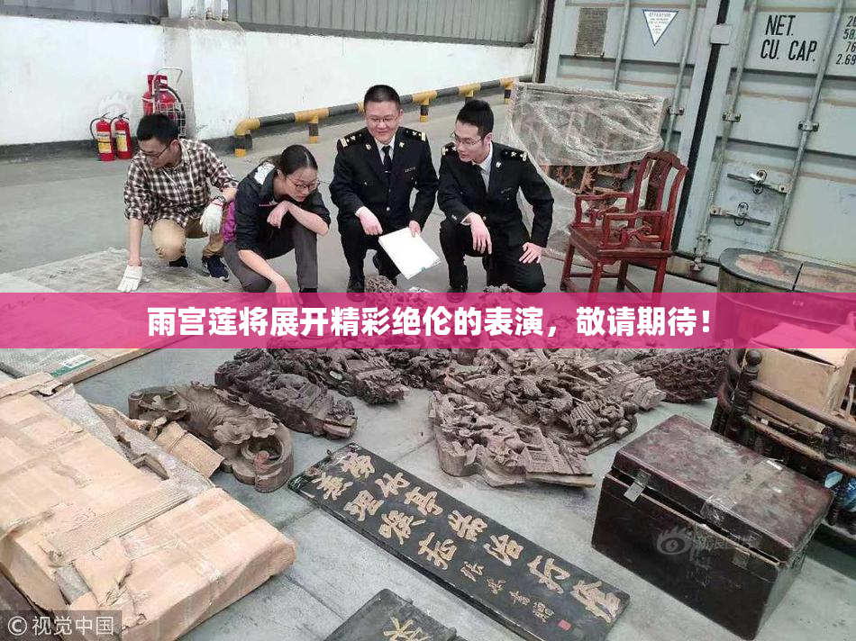 雨宫莲将展开精彩绝伦的表演，敬请期待！