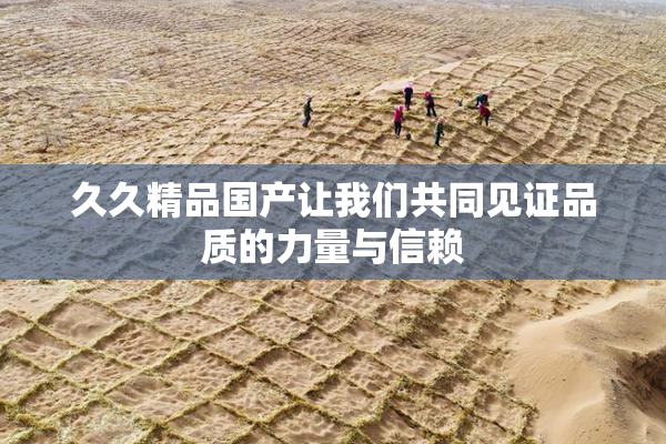 久久精品国产让我们共同见证品质的力量与信赖