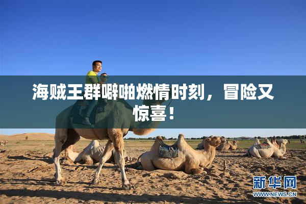 海贼王群噼啪燃情时刻，冒险又惊喜！