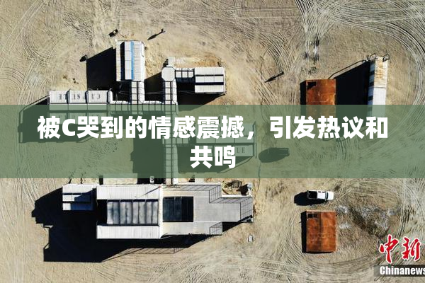 被C哭到的情感震撼，引发热议和共鸣