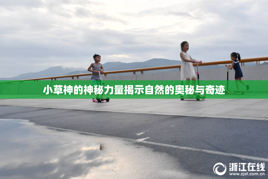 小草神的神秘力量揭示自然的奥秘与奇迹