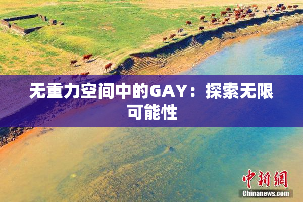 无重力空间中的GAY：探索无限可能性
