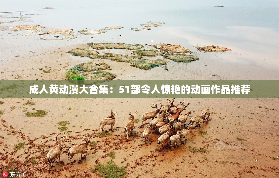 成人黄动漫大合集：51部令人惊艳的动画作品推荐