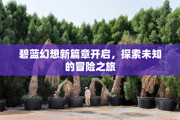碧蓝幻想新篇章开启，探索未知的冒险之旅