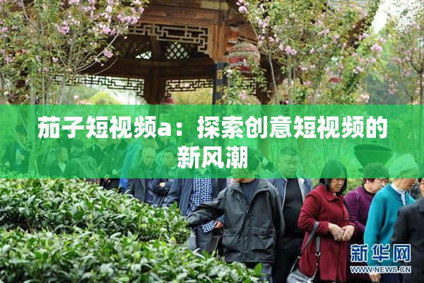 茄子短视频a：探索创意短视频的新风潮