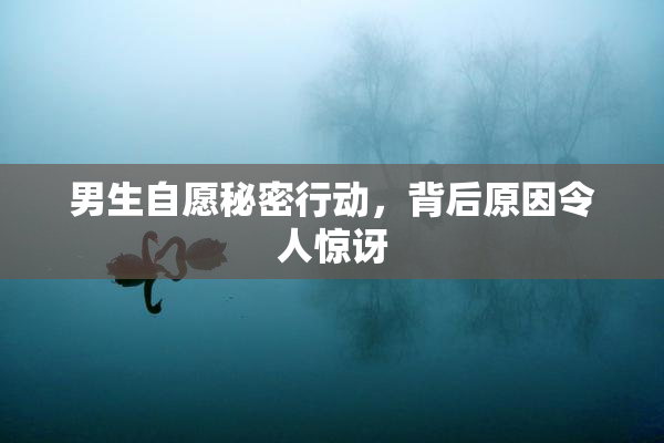 男生自愿秘密行动，背后原因令人惊讶
