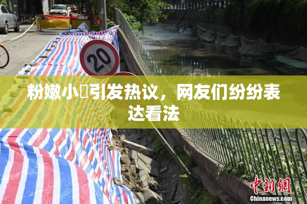 粉嫩小泬引发热议，网友们纷纷表达看法