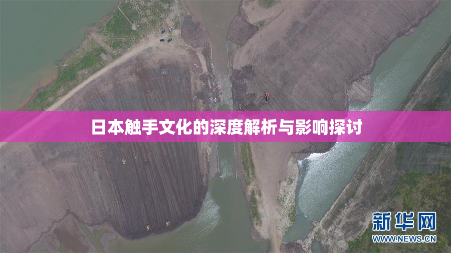 日本触手文化的深度解析与影响探讨