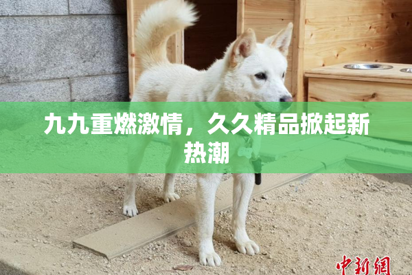 九九重燃激情，久久精品掀起新热潮