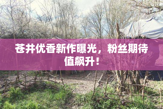 苍井优香新作曝光，粉丝期待值飙升！