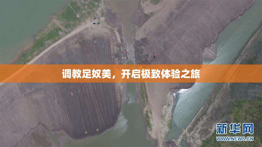 调教足奴美，开启极致体验之旅