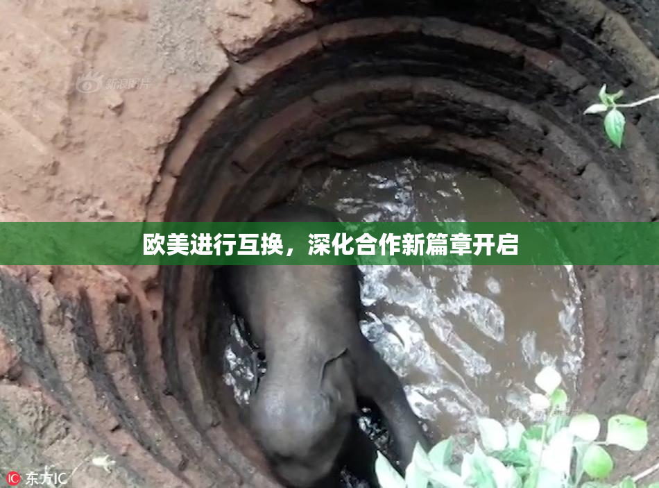 欧美进行互换，深化合作新篇章开启