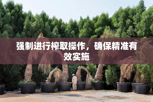 强制进行榨取操作，确保精准有效实施