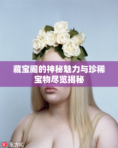 藏宝阁的神秘魅力与珍稀宝物尽览揭秘