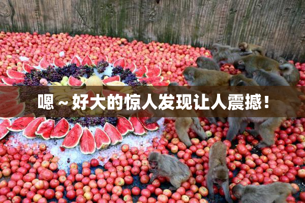 嗯～好大的惊人发现让人震撼！