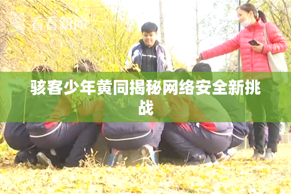 骇客少年黄同揭秘网络安全新挑战