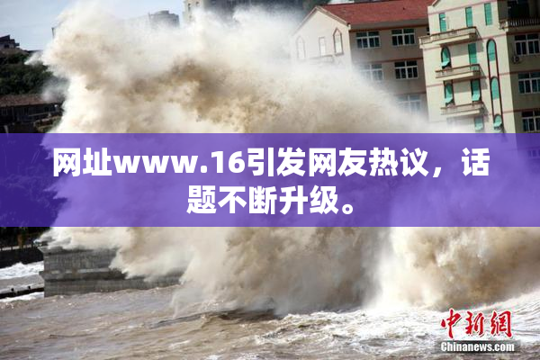 网址www.16引发网友热议，话题不断升级。