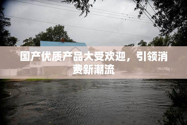 国产优质产品大受欢迎，引领消费新潮流