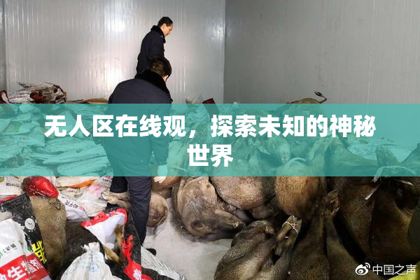 无人区在线观，探索未知的神秘世界