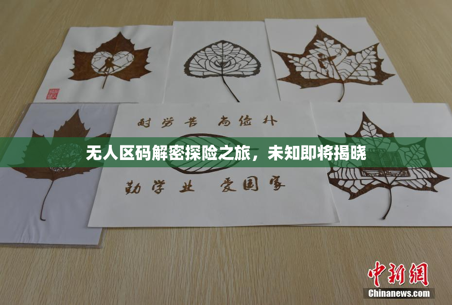 无人区码解密探险之旅，未知即将揭晓