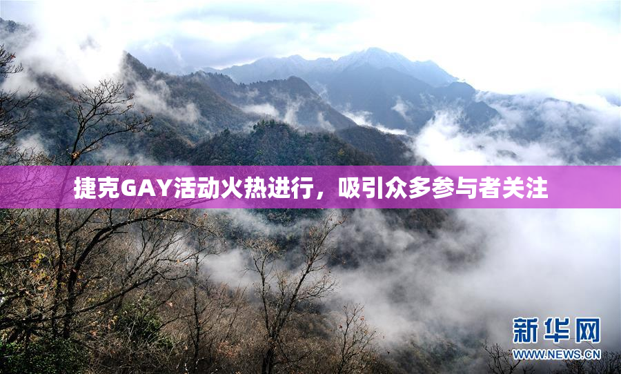 捷克GAY活动火热进行，吸引众多参与者关注