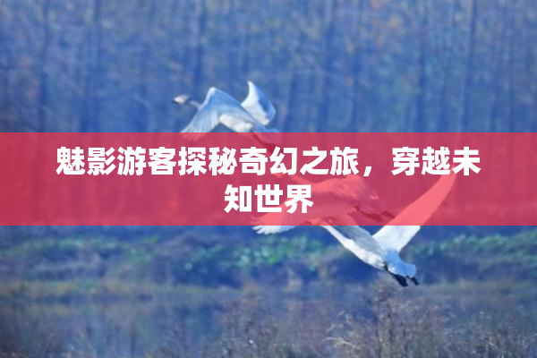 魅影游客探秘奇幻之旅，穿越未知世界