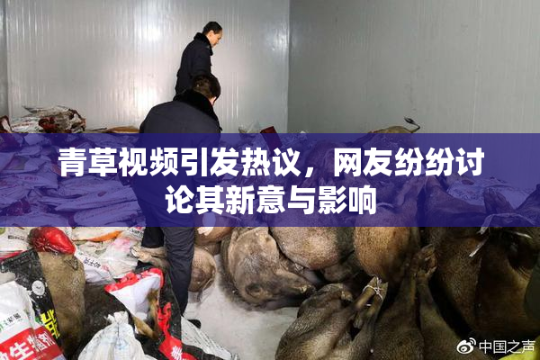 青草视频引发热议，网友纷纷讨论其新意与影响