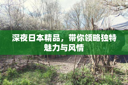 深夜日本精品，带你领略独特魅力与风情