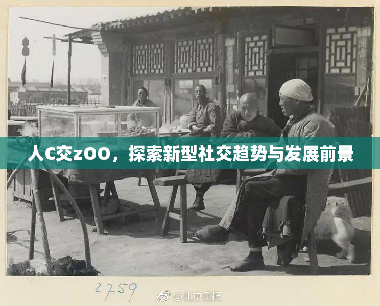 人C交zOO，探索新型社交趋势与发展前景