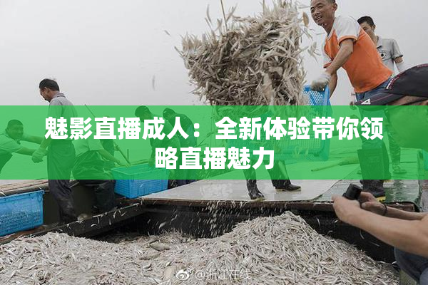 魅影直播成人：全新体验带你领略直播魅力