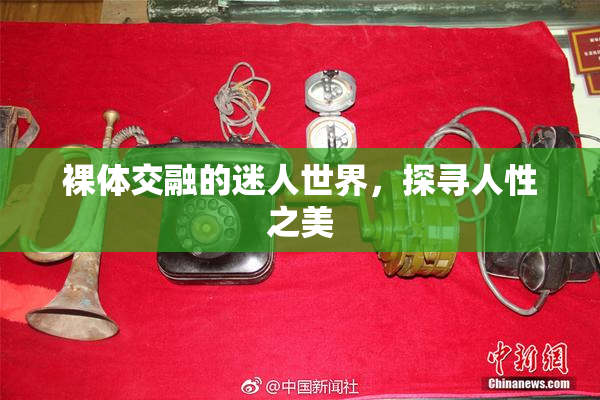 裸体交融的迷人世界，探寻人性之美