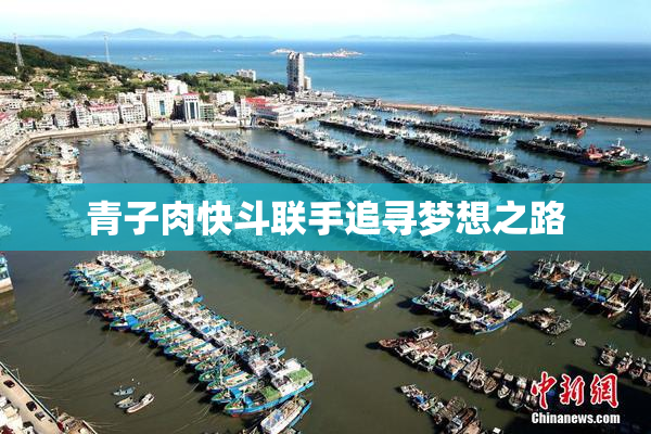 青子肉快斗联手追寻梦想之路
