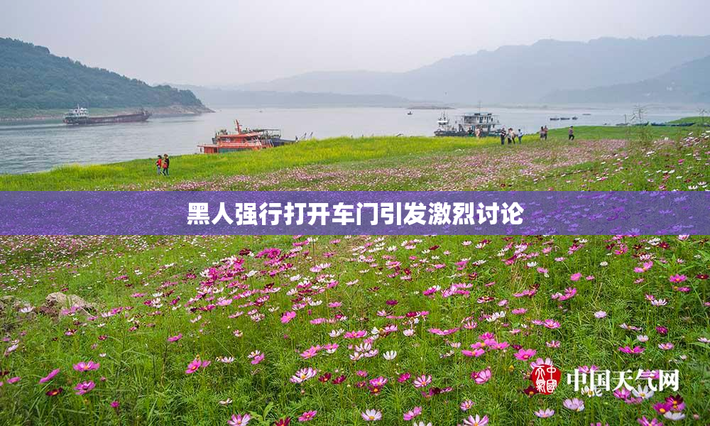 黑人强行打开车门引发激烈讨论