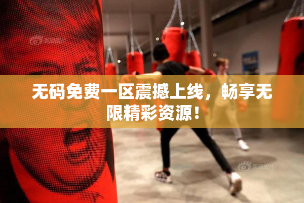 无码免费一区震撼上线，畅享无限精彩资源！