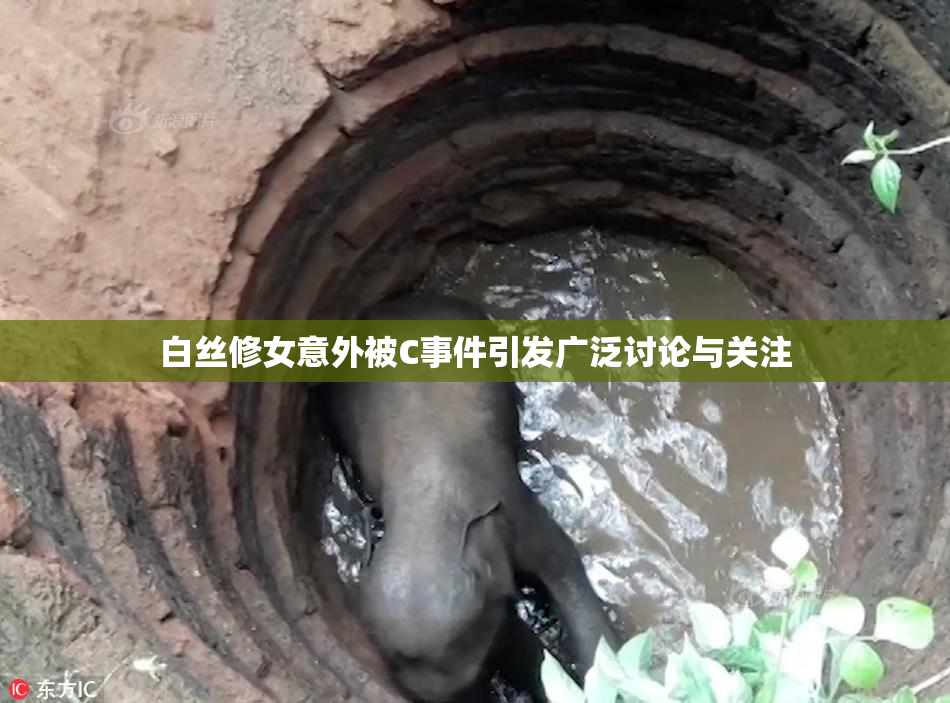 白丝修女意外被C事件引发广泛讨论与关注