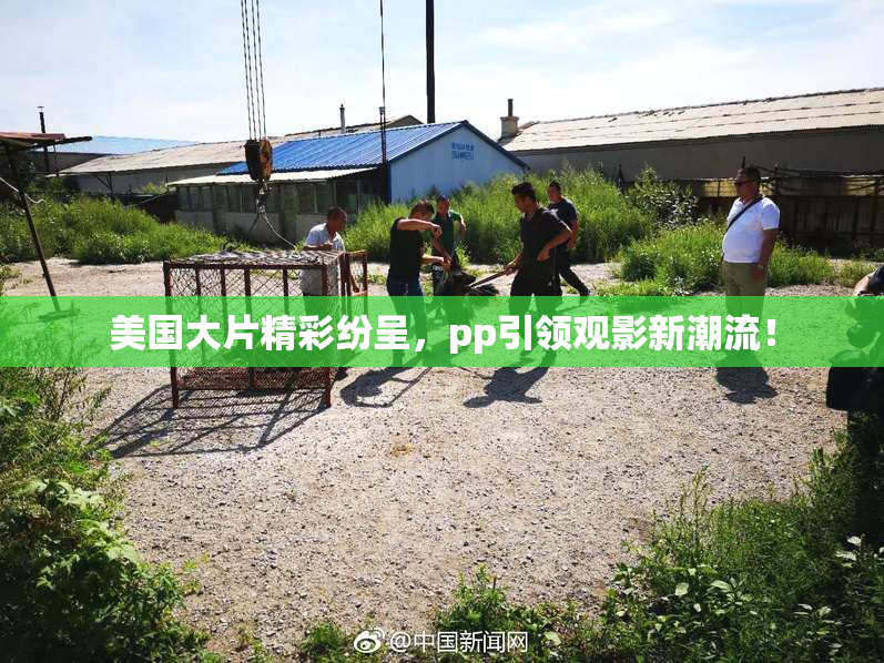 美国大片精彩纷呈，pp引领观影新潮流！