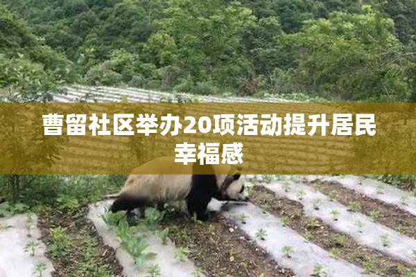 曹留社区举办20项活动提升居民幸福感