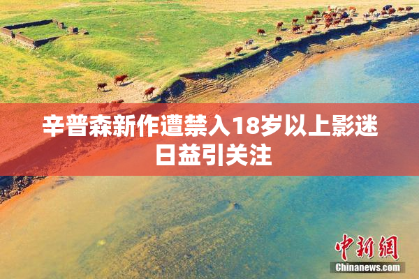 辛普森新作遭禁入18岁以上影迷 日益引关注