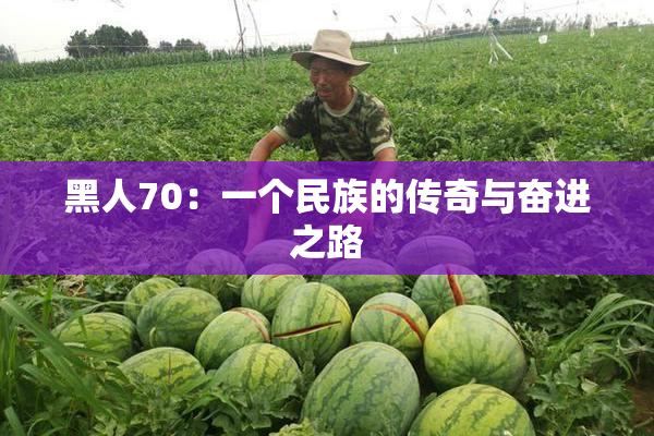 黑人70：一个民族的传奇与奋进之路