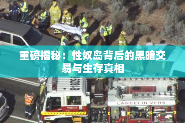 重磅揭秘：性奴岛背后的黑暗交易与生存真相