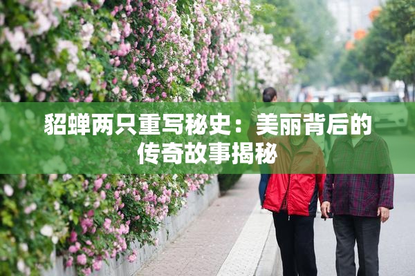 貂蝉两只重写秘史：美丽背后的传奇故事揭秘