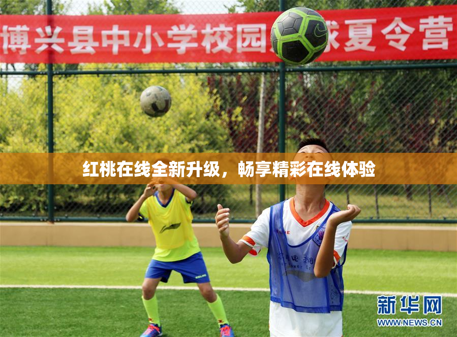 红桃在线全新升级，畅享精彩在线体验