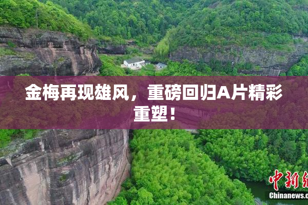 金梅再现雄风，重磅回归A片精彩重塑！
