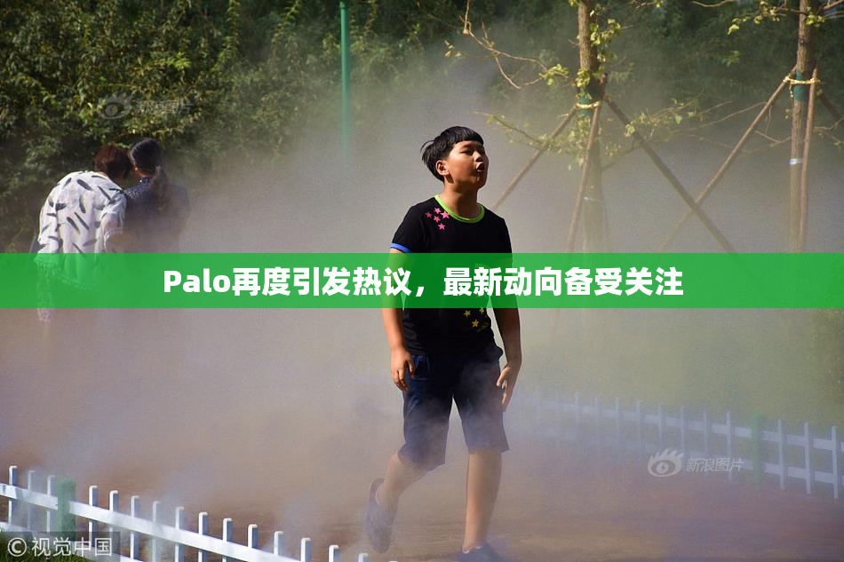 Palo再度引发热议，最新动向备受关注