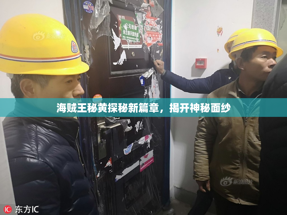 海贼王秘黄探秘新篇章，揭开神秘面纱