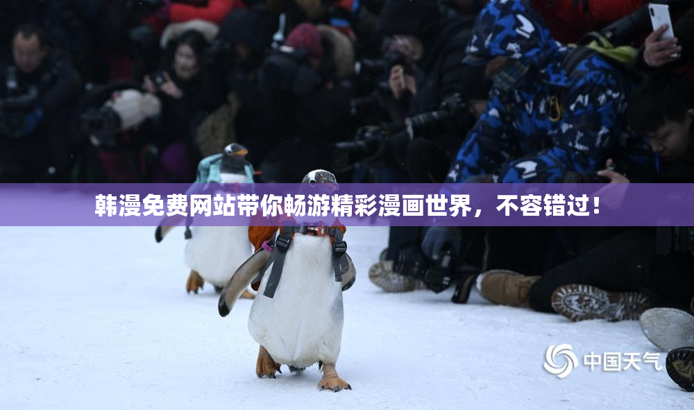 韩漫免费网站带你畅游精彩漫画世界，不容错过！