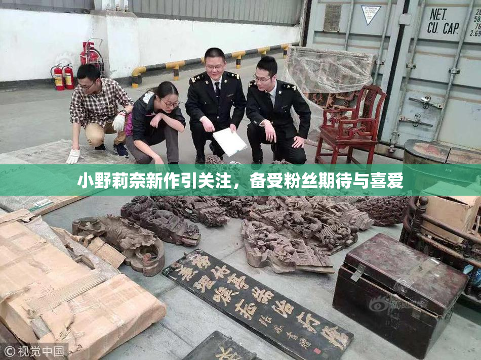小野莉奈新作引关注，备受粉丝期待与喜爱